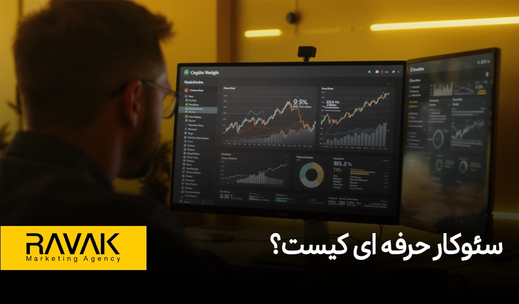 سئوکار حرفه ای کیست؟